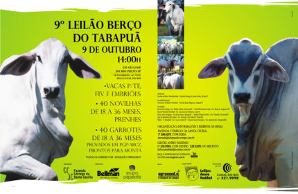 9o Berço do Tabapuã - Cultivar 09/2004